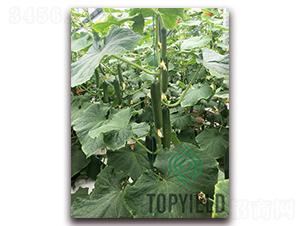 �Ã�1̖(h��o)-�S�ϷN��-�S�ǷN�I(y��)