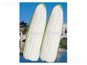 ���ƾ�Ŵ-���׷N��-�F(xi��n)���N�I(y��)