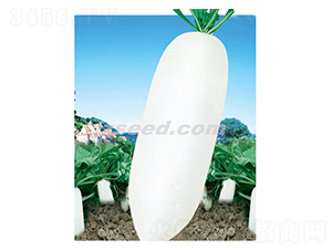 ���x���~ʮ��-�}���N��-�F(xi��n)���N�I(y��)