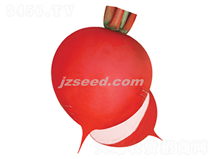 ���@�t��-�}���N��-�F(xi��n)���N�I(y��)