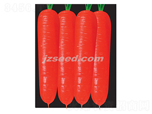 �t��809��S-���}���N��-�F(xi��n)���N�I(y��)