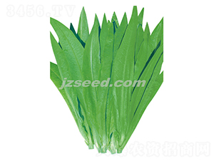 ̩������o��������-�����˷N��-�F���N�I(y��)