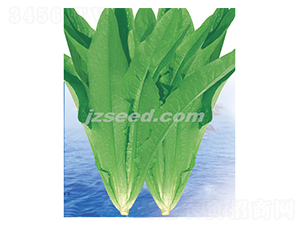 ���߮a����-�����˷N��-�F���N�I(y��)