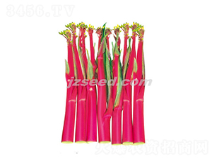 ���tһ̖-��޷�N��-�F���N�I(y��)