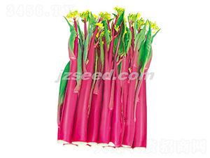 ����ʮ̖-��޷�N��-�F���N�I(y��)