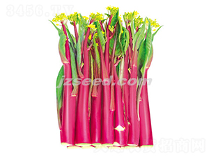 ����ʮһ̖-��޷�N��-�F���N�I(y��)