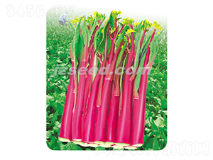 ��ݿ��̖-��޷�N��-�F���N�I(y��)