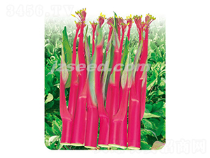 ��ݿ��̖-��޷�N��-�F���N�I(y��)