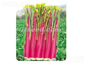 ��ݿһ̖-��޷�N��-�F���N�I(y��)