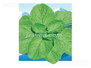 ̩�����S�{��-�{�˷N��-�F���N�I(y��)