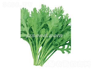 �hꖻ��~����-����N��-�F���N�I(y��)