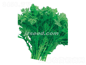 ���㻨�~����-����N��-�F���N�I(y��)