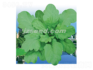 ̩�����~����-����N��-�F���N�I(y��)