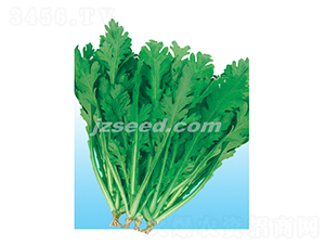 ��ջ��~����-����N��-�F���N�I(y��)