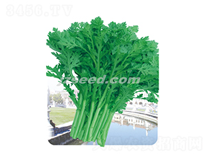 �оջ��~����-����N��-�F���N�I(y��)