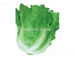 �ă�(y��u)�ļ�-���˷N��-�F���N�I(y��)