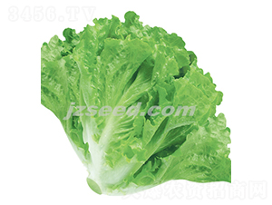 ��������-���˷N��-�F���N�I(y��)