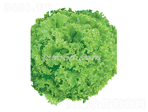 �������-���˷N��-�F���N�I(y��)