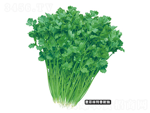 ̩���ļ��ͳ�ܾݴ-ܾݴ�N��-�F���N�I(y��)