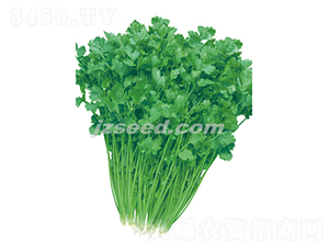 �����������ͳ�ܾݴ-ܾݴ�N��-�F���N�I(y��)