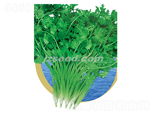 �ă�(y��u)�ļ��ͳ�ܾݴ-ܾݴ�N��-�F���N�I(y��)