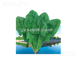 ���ܲ���-���˷N��-�F(xi��n)���N�I(y��)