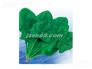 �ʼ����S-���˷N��-�F(xi��n)���N�I(y��)