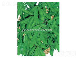 ���r��̖-ë���N��-�F(xi��n)���N�I(y��)