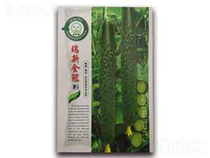 ���½��-�S�ϷN��-�|���S