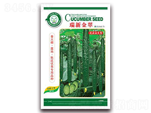 ���½��-�S�ϷN��-�|���S