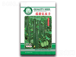 ���|���S-�S�ϷN��-�|���S