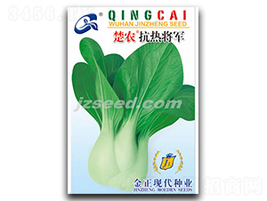 ���r(n��ng)���ጢ܊-С�ײ˷N��-�F(xi��n)���N�I(y��)