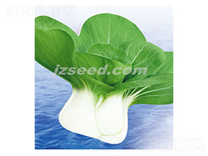 ���r(n��ng)�ذ���-С�ײ˷N��-�F(xi��n)���N�I(y��)