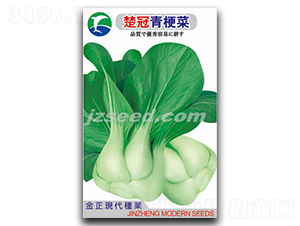 �����๣��-С�ײ˷N��-�F(xi��n)���N�I(y��)