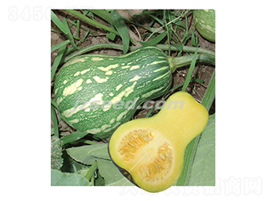 ���һ̖-�ϹϷN��-�F���N�I(y��)