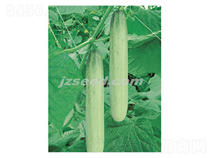 �n���y��-�S�ϷN��-�F(xi��n)���N�I(y��)