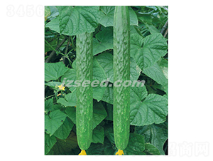 �n��ʮ��-�S�ϷN��-�F(xi��n)���N�I(y��)