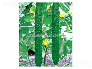 �n�ж�ʮ��-�S�ϷN��-�F(xi��n)���N�I(y��)