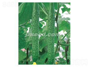 �n�д��G-�S�ϷN��-�F(xi��n)���N�I(y��)