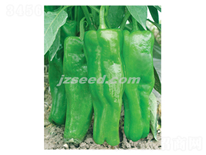 ������̖-�����N��-�F(xi��n)���N�I(y��)