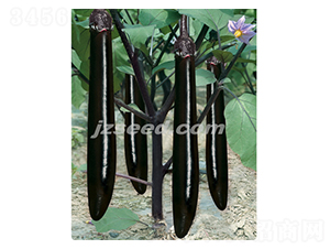 �f������-���ӷN��-�F���N�I(y��)