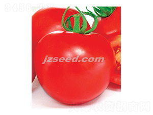 �ă�(y��u)�t��-���ѷN��-�F(xi��n)���N�I(y��)