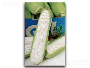 �A����Ŵ190-Ŵ���׷N��-�A���N�I(y��)