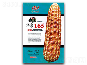 �A��165-Ŵ���׷N��-�A���N�I(y��)