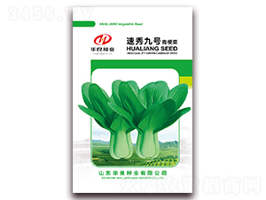 �����̖-�๣�˷N��-�A���N�I(y��)