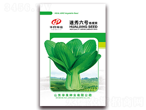 ������̖-�๣�˷N��-�A���N�I(y��)