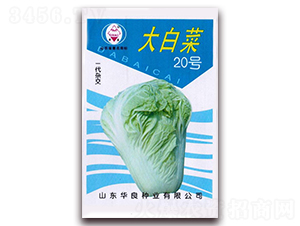 ��ײ�20̖-��ײ˷N��-�A���N�I(y��)