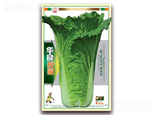 �A�����-��ײ˷N��-�A���N�I(y��)