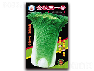 ������һ̖-��ײ˷N��-�A���N�I(y��)