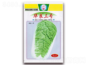 �A����̖-��ײ˷N��-�A���N�I(y��)